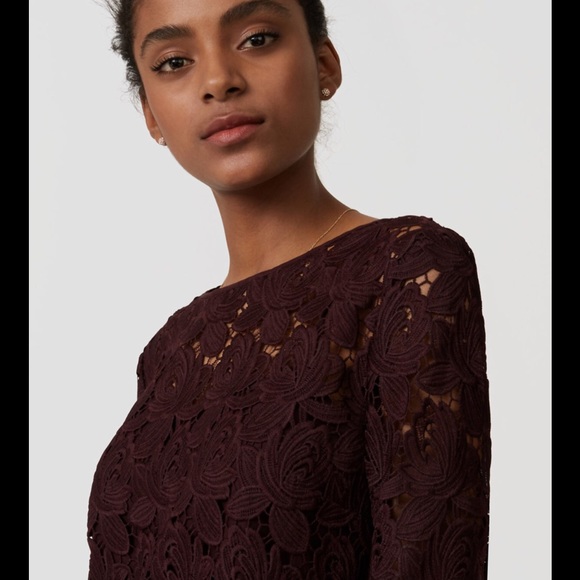 Ann Taylor Loft shift lace dress - Picture 4 of 8