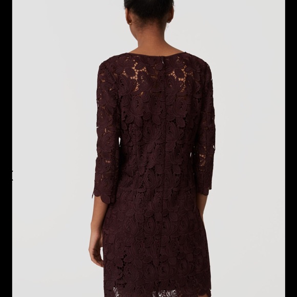 Ann Taylor Loft shift lace dress - Picture 5 of 8