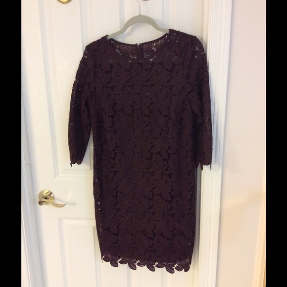 Ann Taylor Loft shift lace dress - Picture 6 of 8