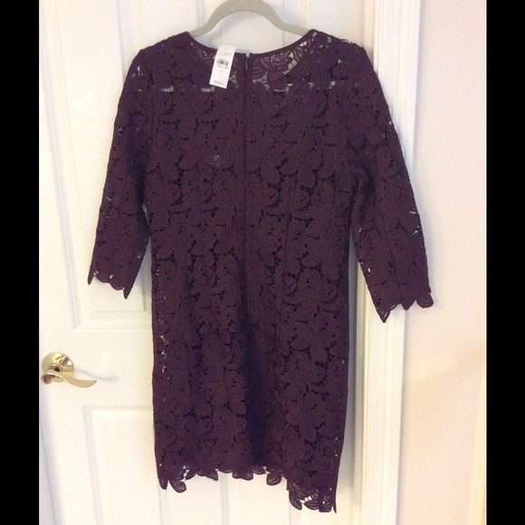 Ann Taylor Loft shift lace dress - Picture 7 of 8