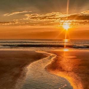 Meet your Posher, Leann