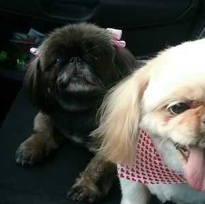 Meet your Posher, Stacey