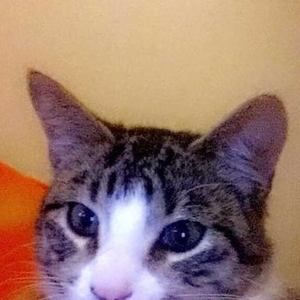 Meet your Posher, Najla