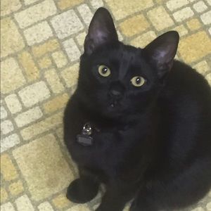 Meet your Posher, Kita