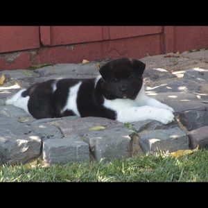 Meet your Posher, Stacey