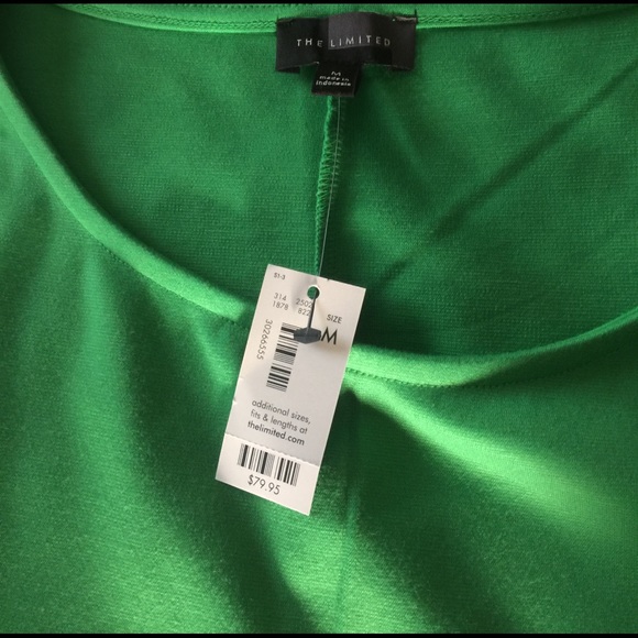 Green Dress - The Limited - Picture 3 of 3