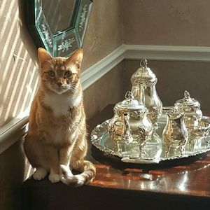 Meet your Posher, Katie