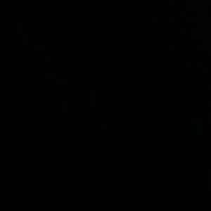 Meet your Posher, Nikia