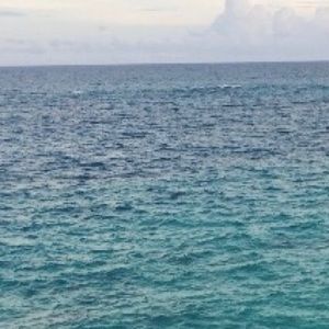 Meet your Posher, Michaela