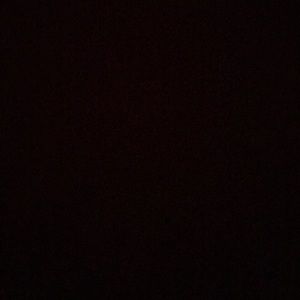 Meet your Posher, Troy