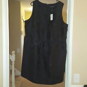 Black Knee-Length Lane Bryant Dress - Size 28