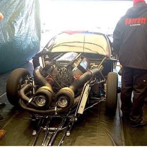 Meet your Posher, George