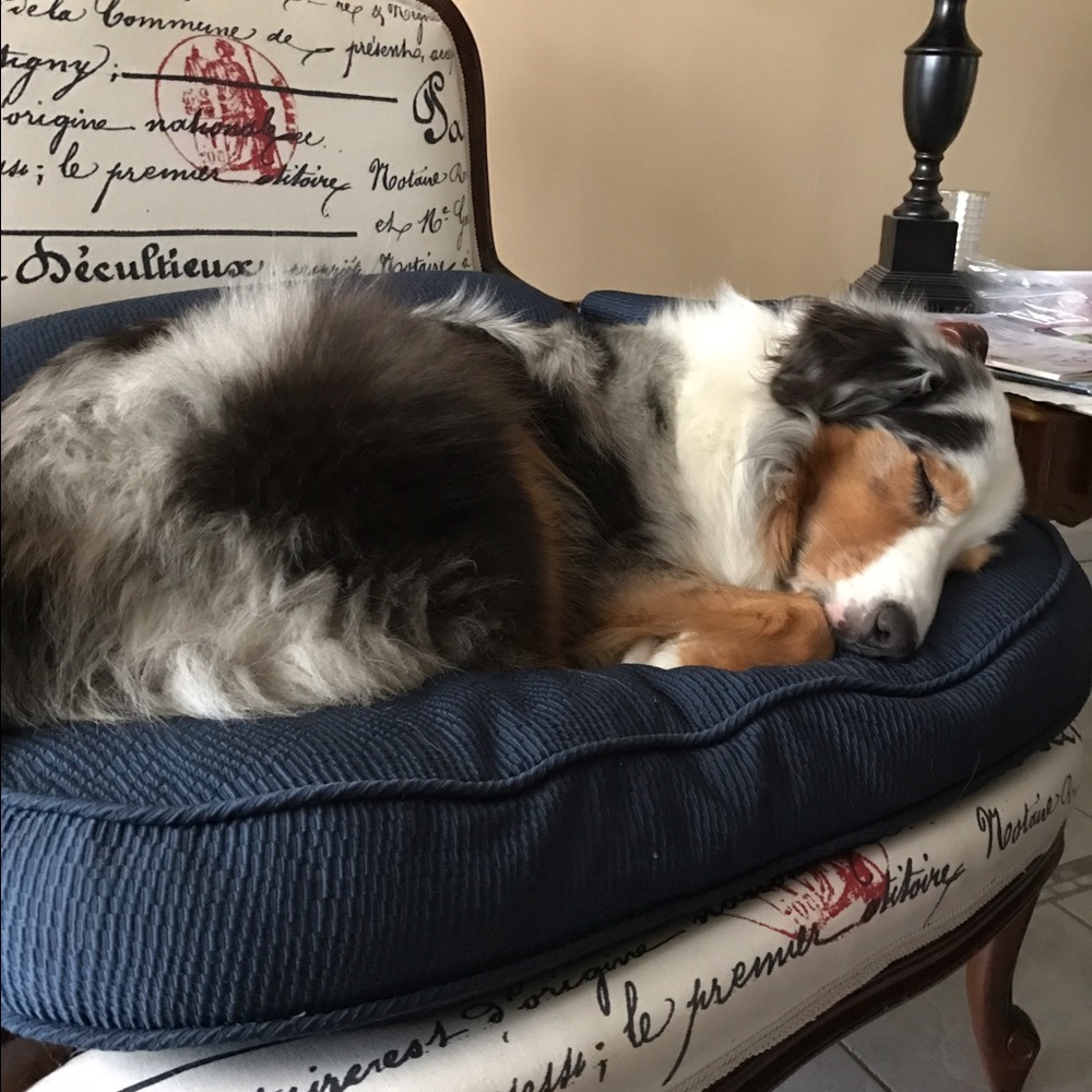 Meet your Posher, Lindsy