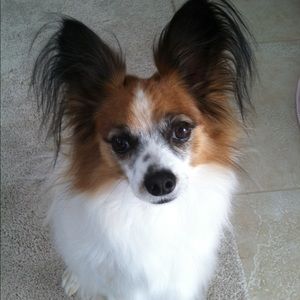 Meet your Posher, Mary