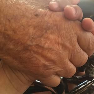 Meet your Posher, Orisa