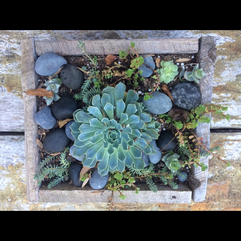 Meet your Posher, Robyn