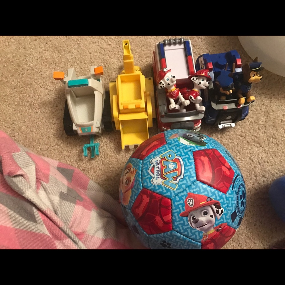 Paw patrol