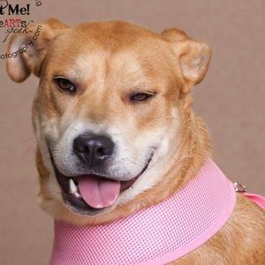 Meet your Posher, Dortha