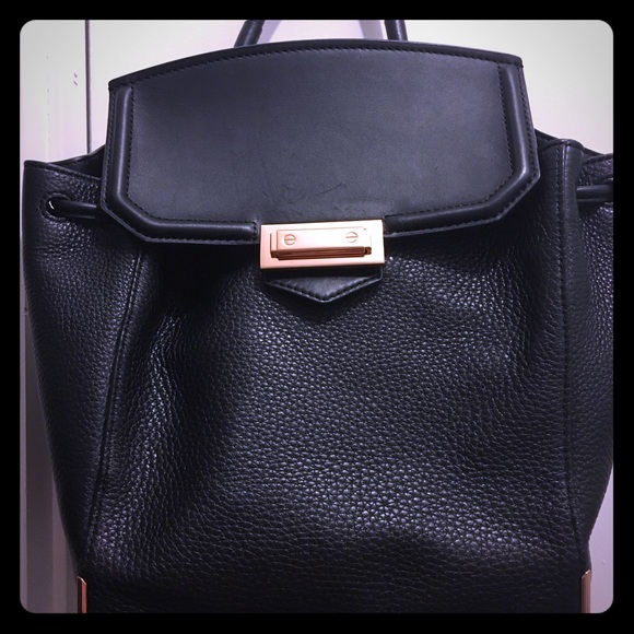 Alexander Wang | Bags | Alexander Wang Prisma Mini Backpack | Poshmark