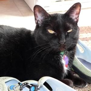 Meet your Posher, Suzanne