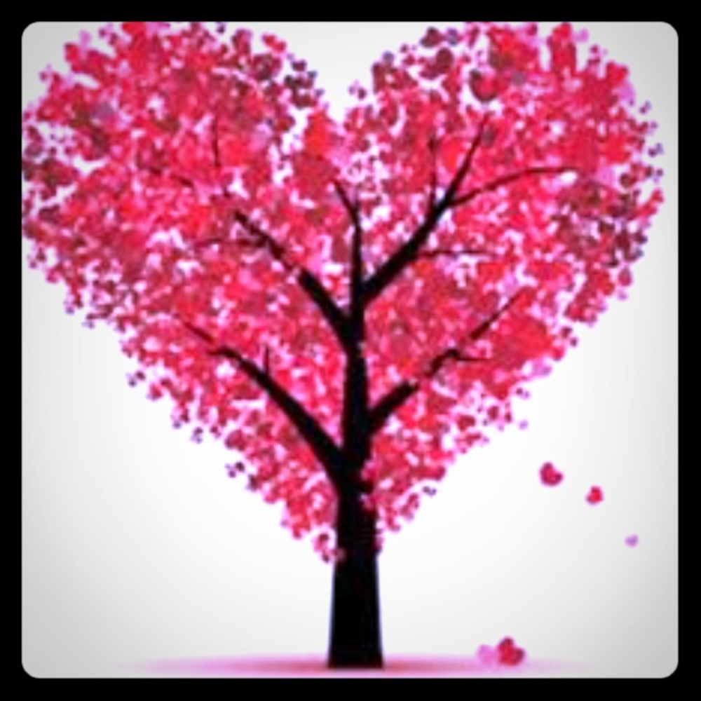 Valentine's Day Sale 2017!!