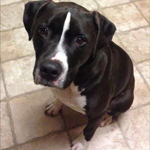 Meet your Posher, Yvette