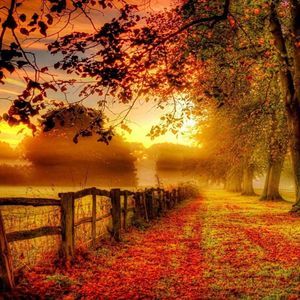 Meet your Posher, Loretta