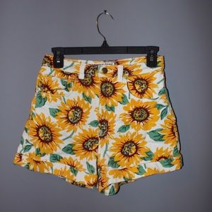 BRAND NEW American Apparel High Waisted Shorts