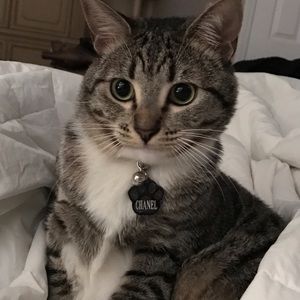 Meet your Posher, Lysa