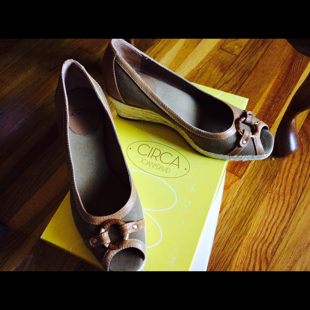 Sophistication summer shoe