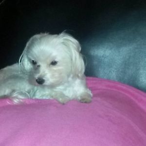 Meet your Posher, Kimberly