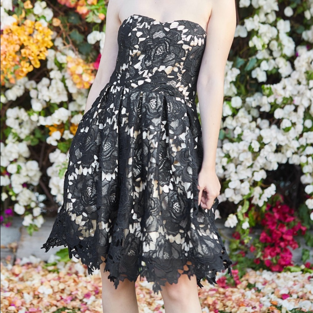 Modcloth Black Lace Dress