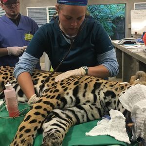 Meet your Posher, Eden