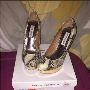 Steve Madden Snake Skin Platform Pumps