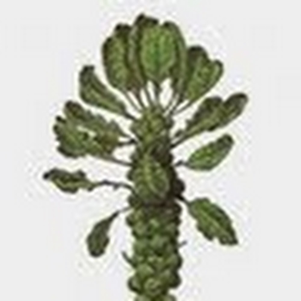 Meet your Posher, Janice