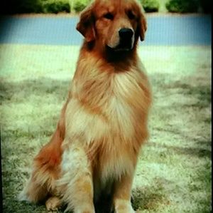 Meet your Posher, Eva