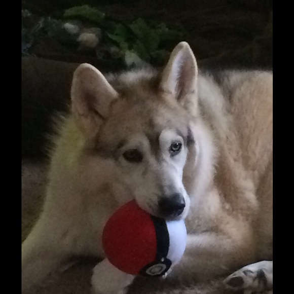 Meet your Posher, Kelly - Picture 1 of 1