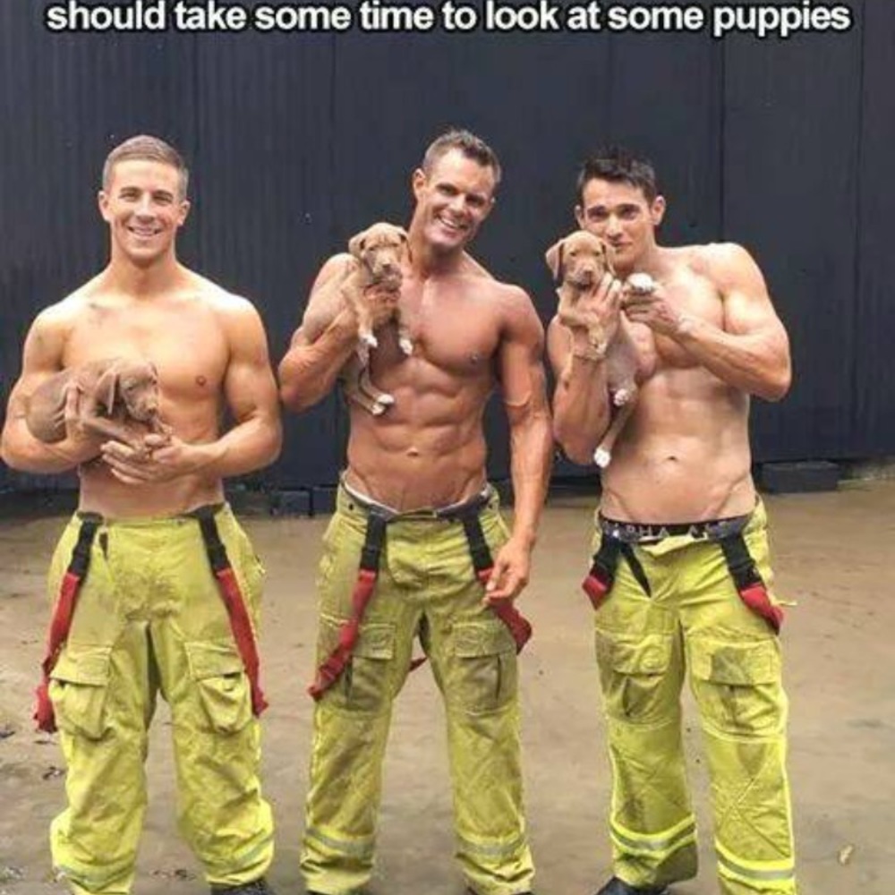 Meet your Posher, Caroline