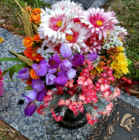 Meet your Posher, Tasha - Picture 2 of 2