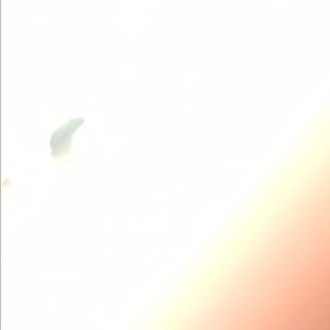 Meet your Posher, Ellie