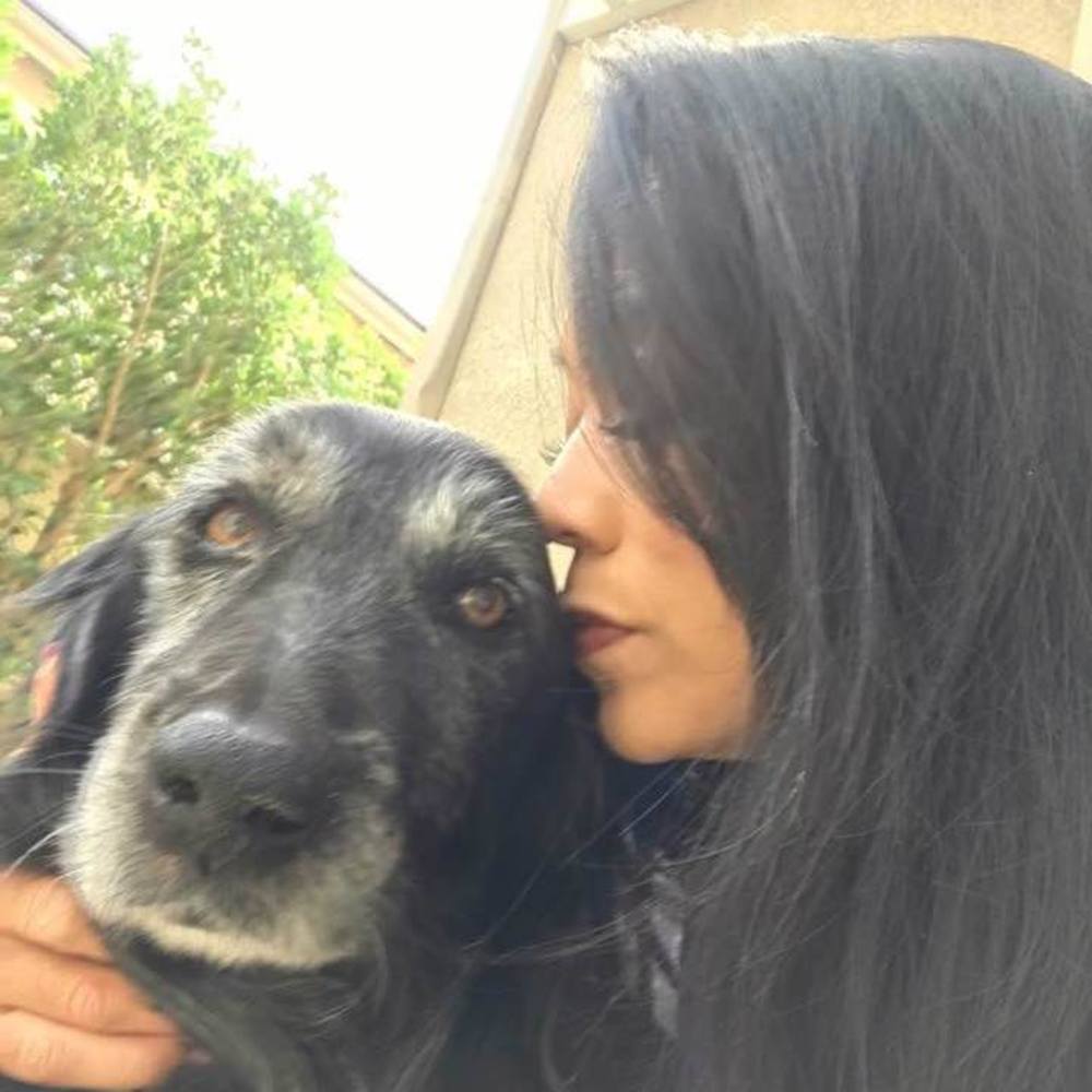 Meet your Posher, Anne