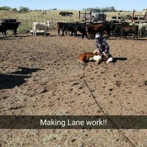 Meet your Posher, Lane