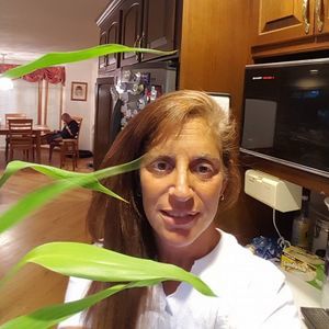 Meet your Posher, Jill