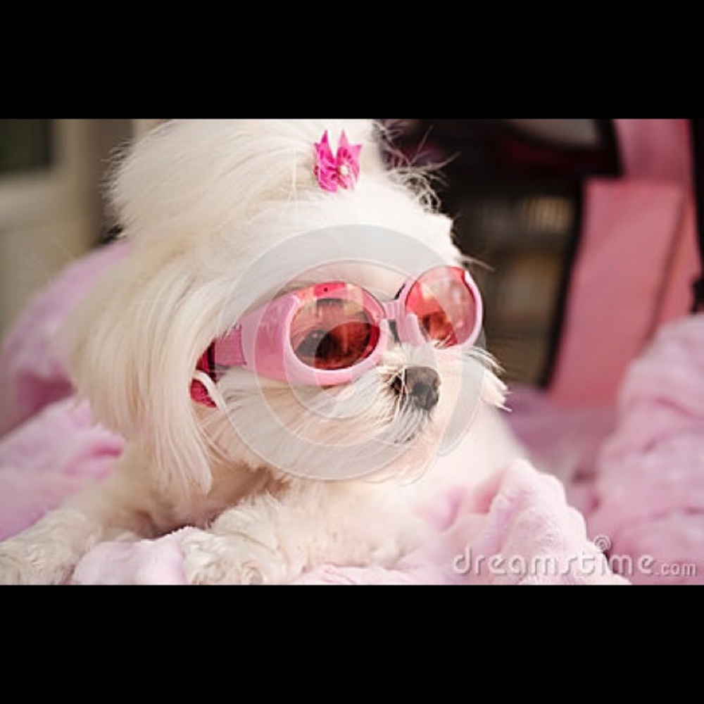 Meet your Posher, Jeanne