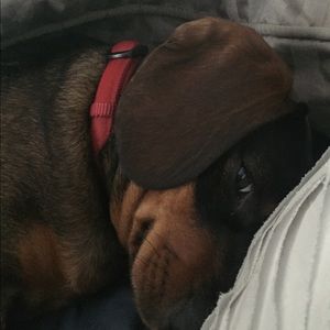 Meet your Posher, Michelle