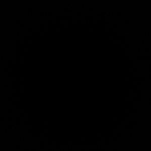 Meet your Posher, Yesenia