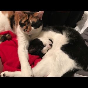 Meet your Posher, Samantha