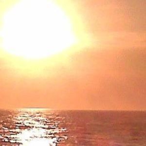 Meet your Posher, Billie