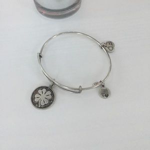 Alex and Ani