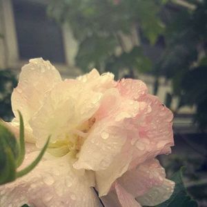 Meet your Posher, Flow